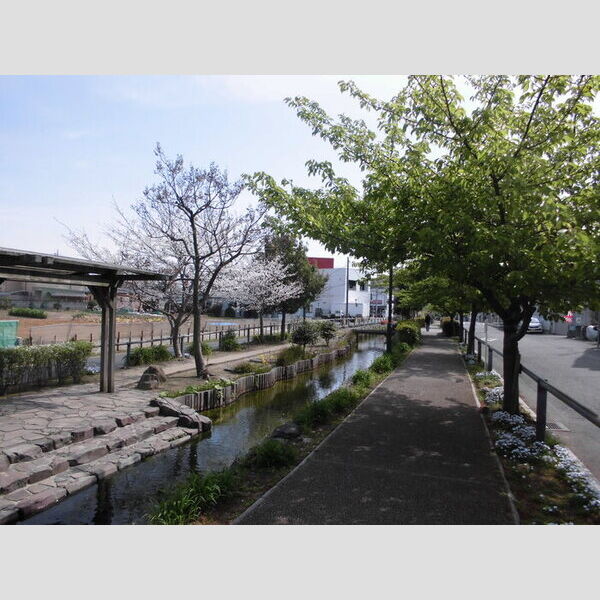 プロムナード元住吉　B棟 江川せせらぎ遊歩道