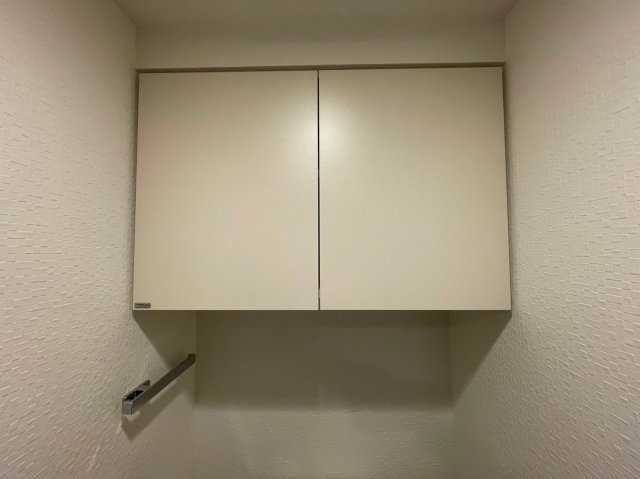 DIPS金町レジデンス1105号室 収納