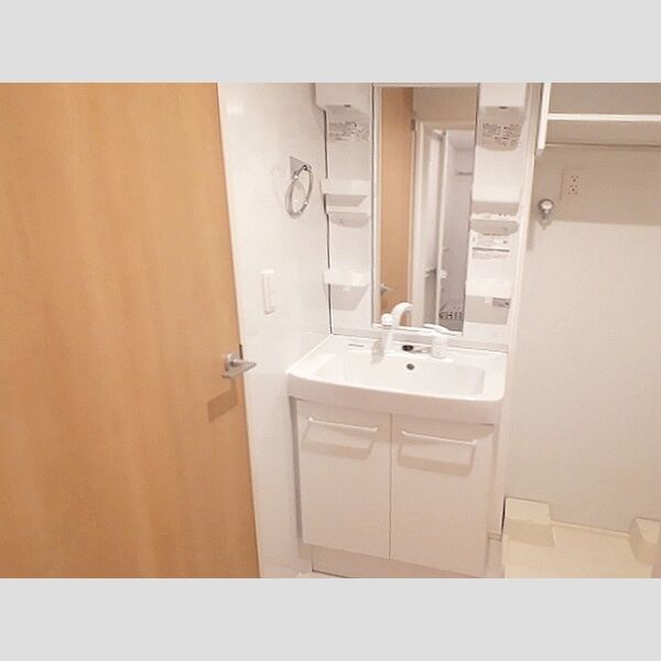 グレイスバレー永田東105号室 洗髪洗面化粧台