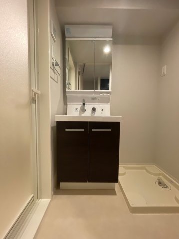 DIPS練馬春日町208号室 洗面