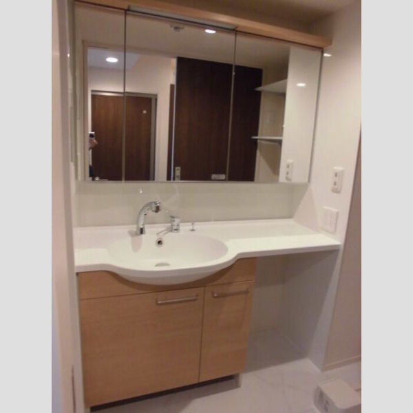 グリーングラス303号室 独立洗面化粧台