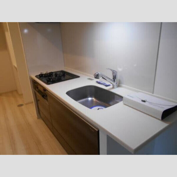 ロイジェント新橋0503号室 キッチン