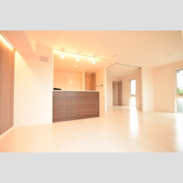 ティアレス　Ⅰ LDK③