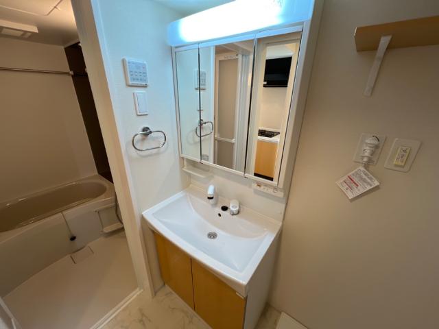 ヴェルデュールⅢ102号室 洗面（イメージ）