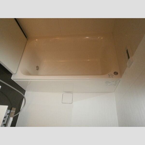 ロイジェントパークス錦糸町602号室 浴室