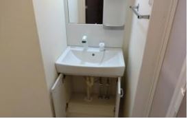 フェリーチェA203号室 洗面