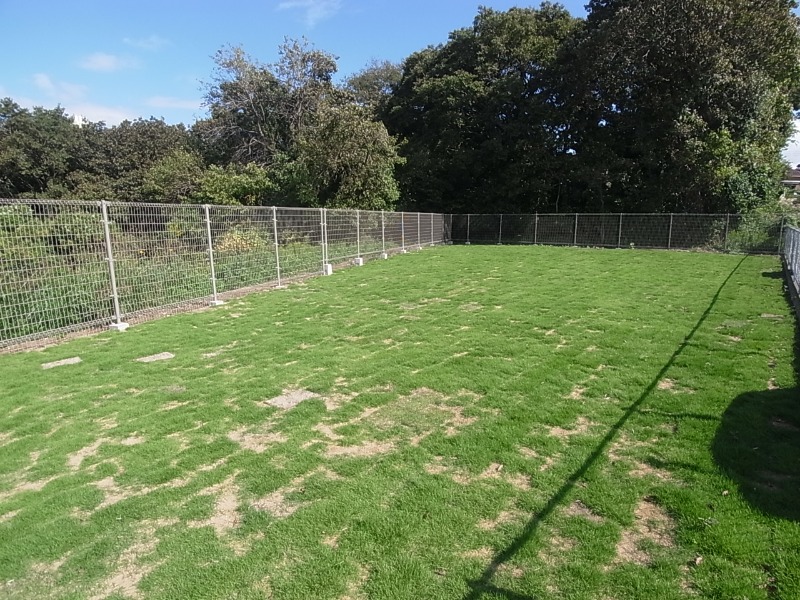 T's garden新検見川Ⅰ(ｻﾝﾗｲｽﾞﾋﾙ朝日ヶ丘A)1階 部屋その他