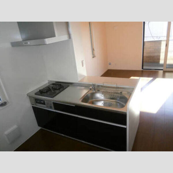 パレス境南町301号室 対面システムキッチン