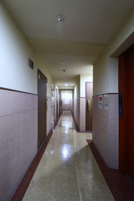 パレステュディオ　ドルチェ　日本橋イースト8階 その他共有部分