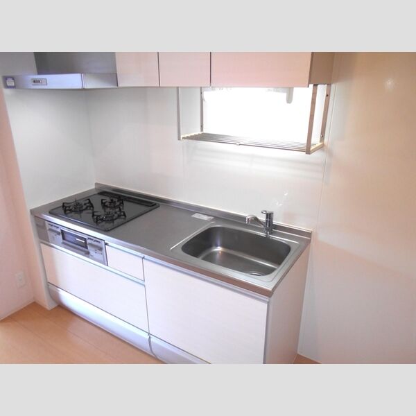 アプリコットガーデン　C201号室 システムキッチン