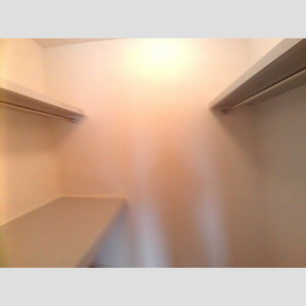 Blossom GardenⅡ ウォークインクローゼット