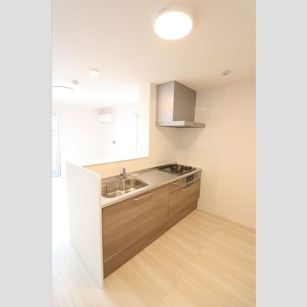 ホワイトハイツⅡ201号室 対面システムキッチン