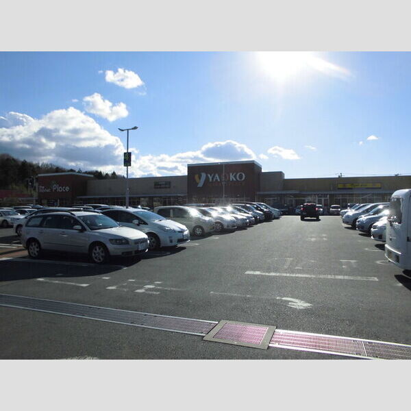 リーブル101号室 ヤオコー佐倉染井野店　1110M