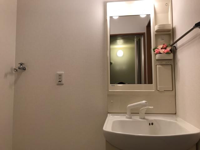 エクレセンス富士見 洗面