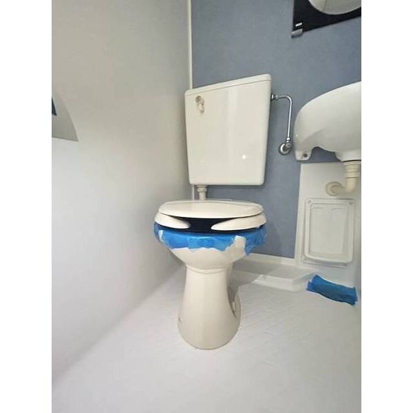 メゾン・ド・セヴェールNO.10103号室 トイレ