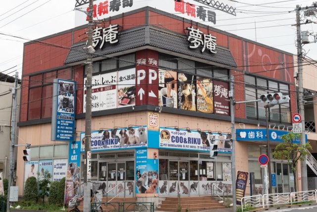 メゾン・ド・ヴィレ住吉 周辺