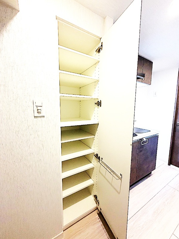 AZEST西川口Ⅲ3階 収納
