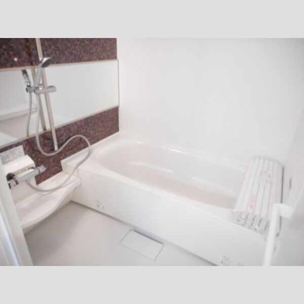 テラス市川高谷303号室 追い焚き給湯機能付き浴室