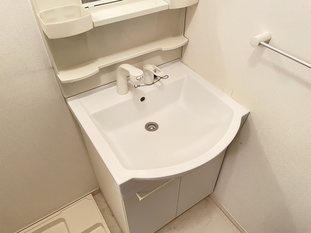 アークコート0103号室 洗面