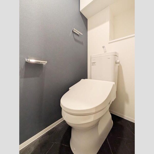 S-RESIDENCE大森bresa603号室 トイレ