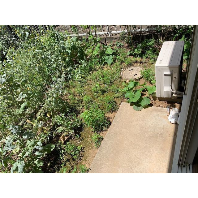 カサブランカ21103号室 部屋その他