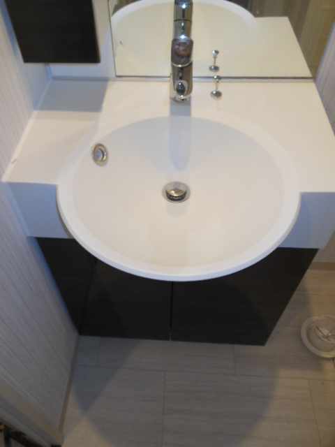 ガーラ・ヒルズ新宿 広い洗面スペース