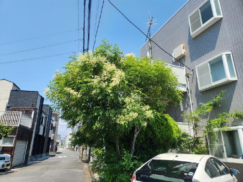 パティオ湘南2階 部屋その他