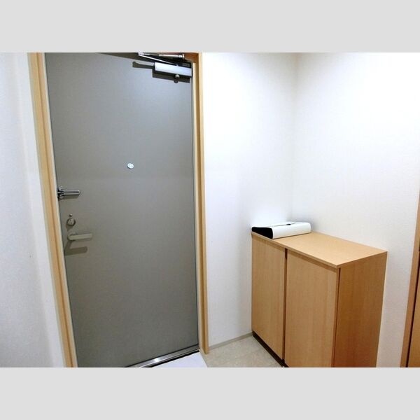 TERRACE　WELLNESS306号室 玄関