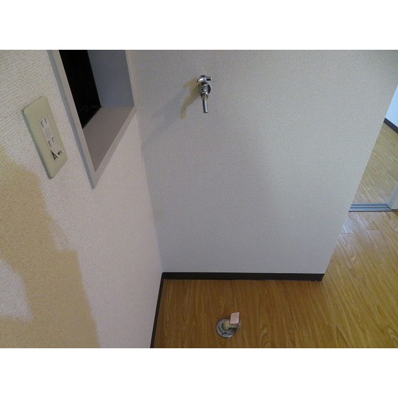 casa de rosa（旧レジデンス田中）0205号室 室内洗濯機置き場