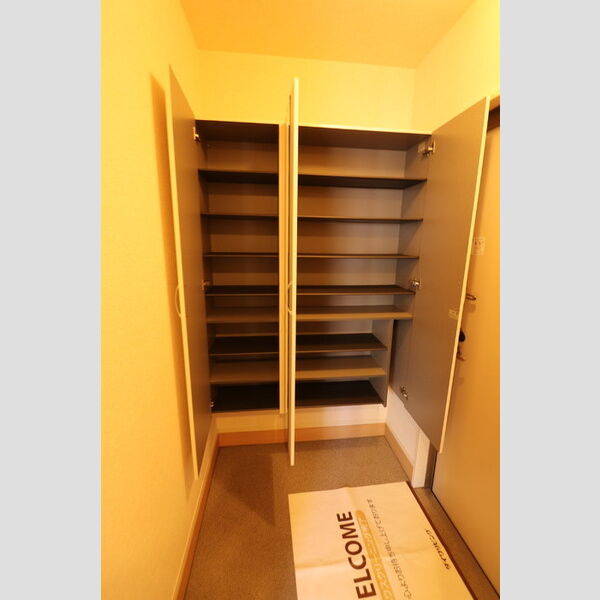 メゾン D-常盤102号室 シューズボックス