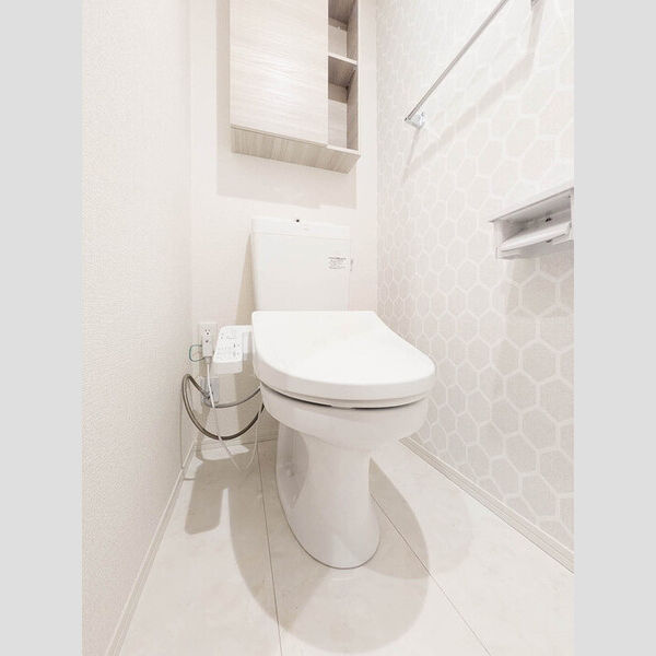 セルシアーナ101号室 トイレ