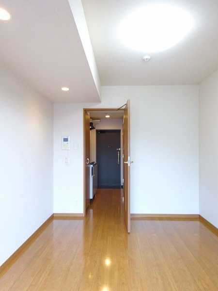 ルーブル溝の口501号室 リビング