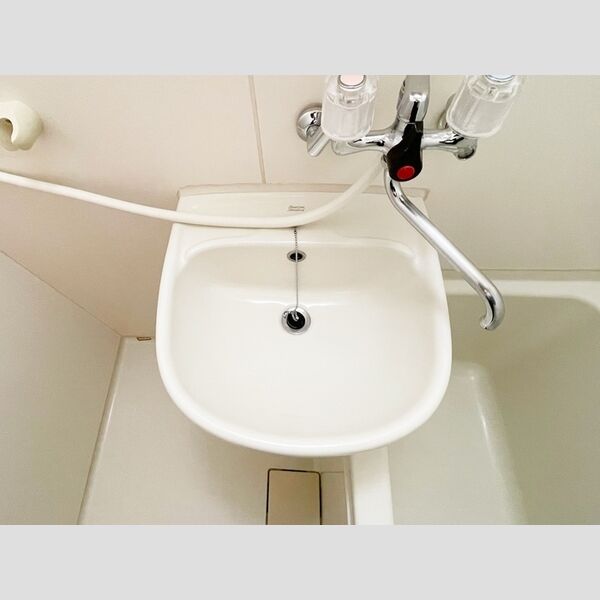 メゾンブランシュ101号室 洗面ボウル