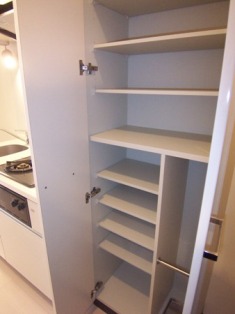 グラントゥルース西日暮里603号室 収納