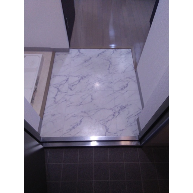 ロアール綱島 玄関