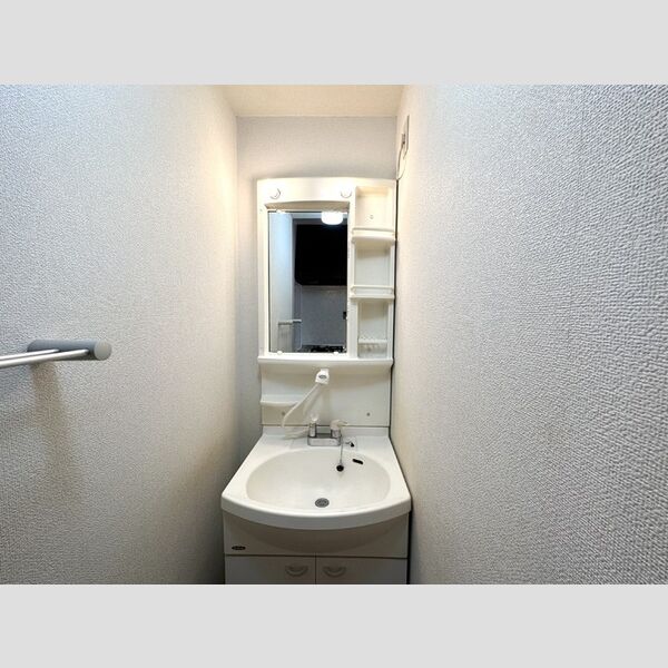 サザンハート東船橋206号室 洗面所