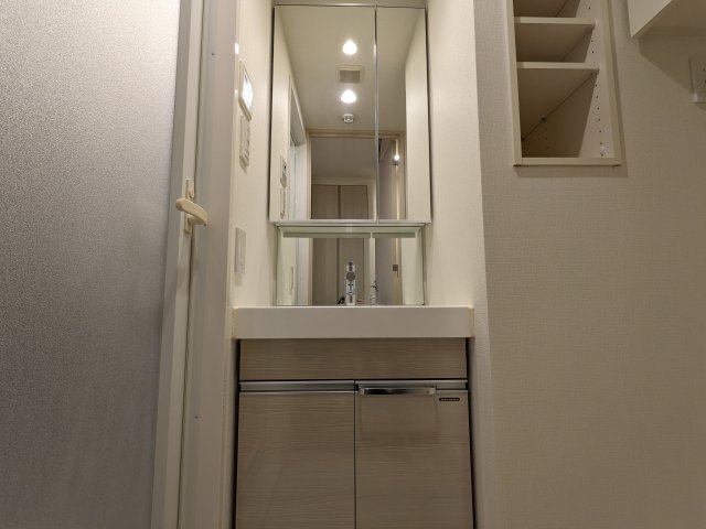 ケーディーエックスレジデンス豊洲309号室 洗面