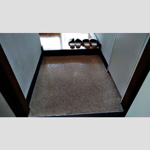 レディース・ビレッジ　ヨシトモ301号室 玄関