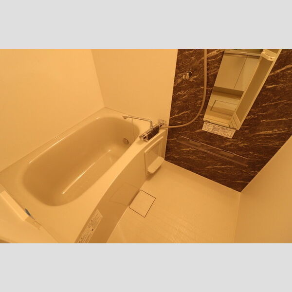 グランメゾン北浦和501号室 浴室