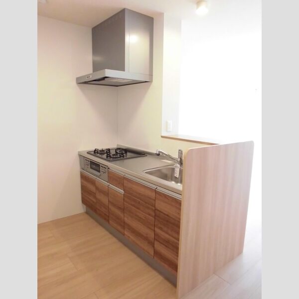 グランデ Ⅱ201号室 対面式のシステムキッチン♪