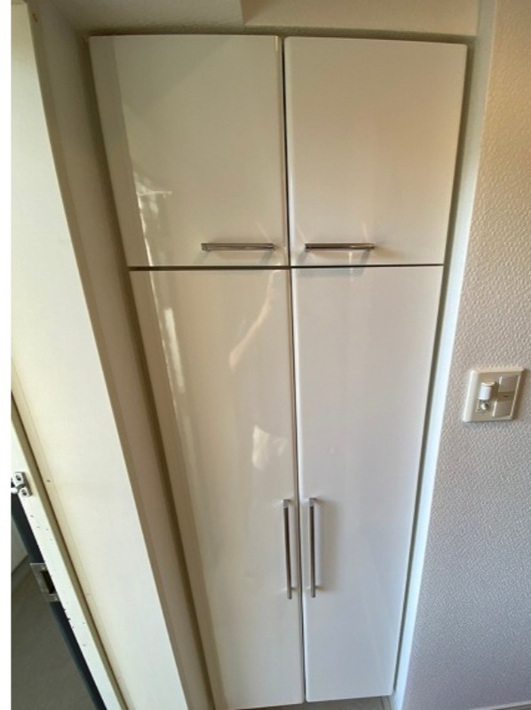 ラグジュアリーアパートメントデュオ神楽坂5階 下足入れ