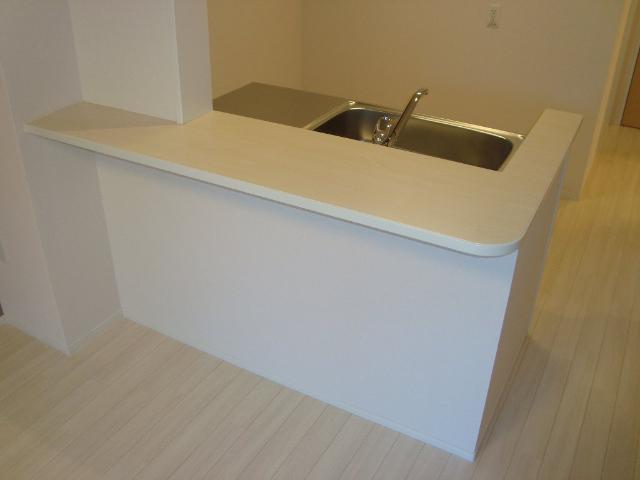 フォレストアーク大森Ⅱ101号室 カウンターキッチン