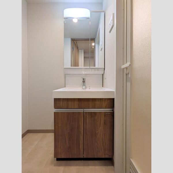 Alivis西葛西norte803号室 洗面