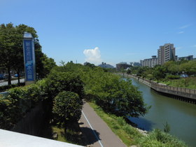 パークビュー南葛西0202号室 新左近川親水公園まで1400ｍ