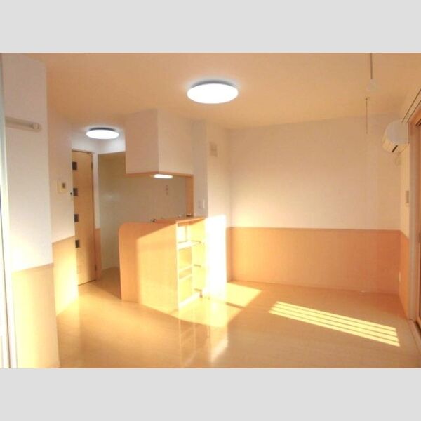 リヴィエール205号室 洋室