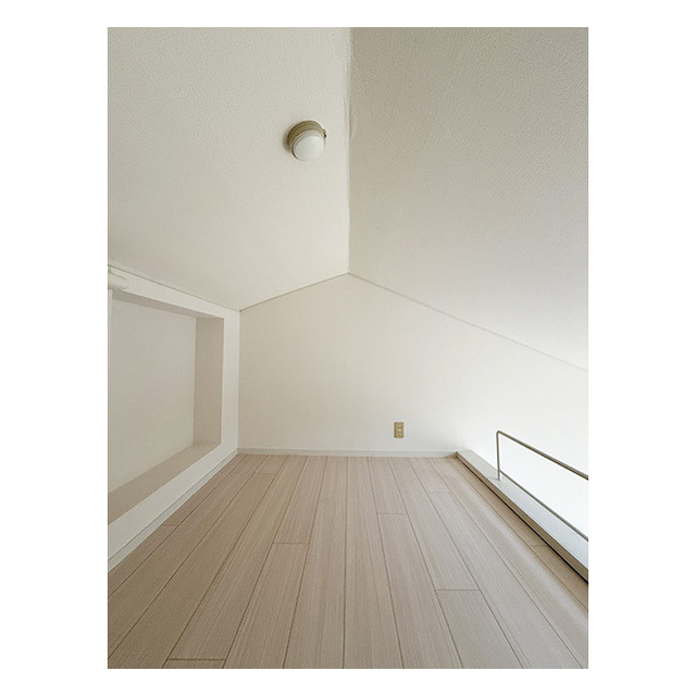 パレスラック206号室 多目的に使えるロフト付き