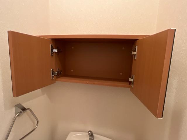 フローラーリア湘南203号室 トイレ収納