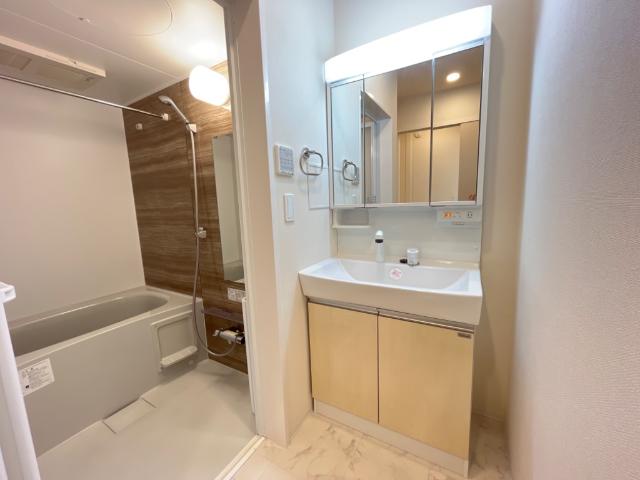 メゾン・ド・ルナ202号室 洗髪洗面化粧台