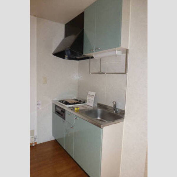 アメジストセージ システムキッチン