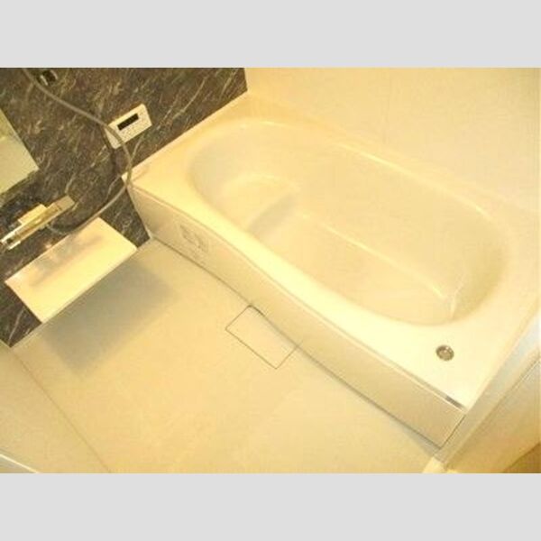 CLASSEUM都賀301号室 浴室